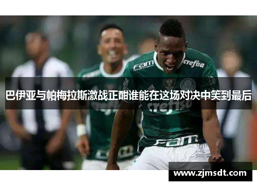 巴伊亚与帕梅拉斯激战正酣谁能在这场对决中笑到最后