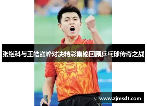 张继科与王皓巅峰对决精彩集锦回顾乒乓球传奇之战